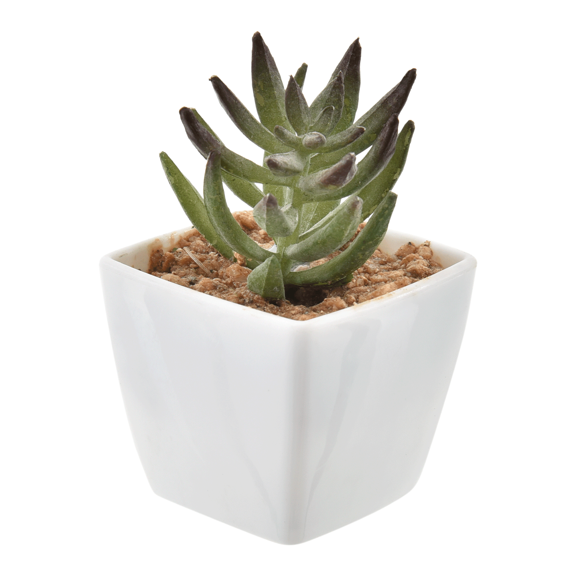 MINI-ARRANJO-MULTMIX-6VRD-VARIADO-MULTMIX_ST0