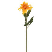 FLOR-SOLARIUM-AMARELO-VERDE-SOLARIUM_ST0