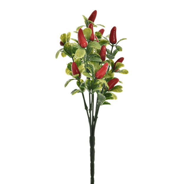 DE-PIMENTAS-VERMELHO-VERDE-BOUQUET_ST0