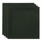 Verde - GUARDANAPO DE TECIDO 40 CM X 40 CM CONJUNTO COM 4 SPLENDID