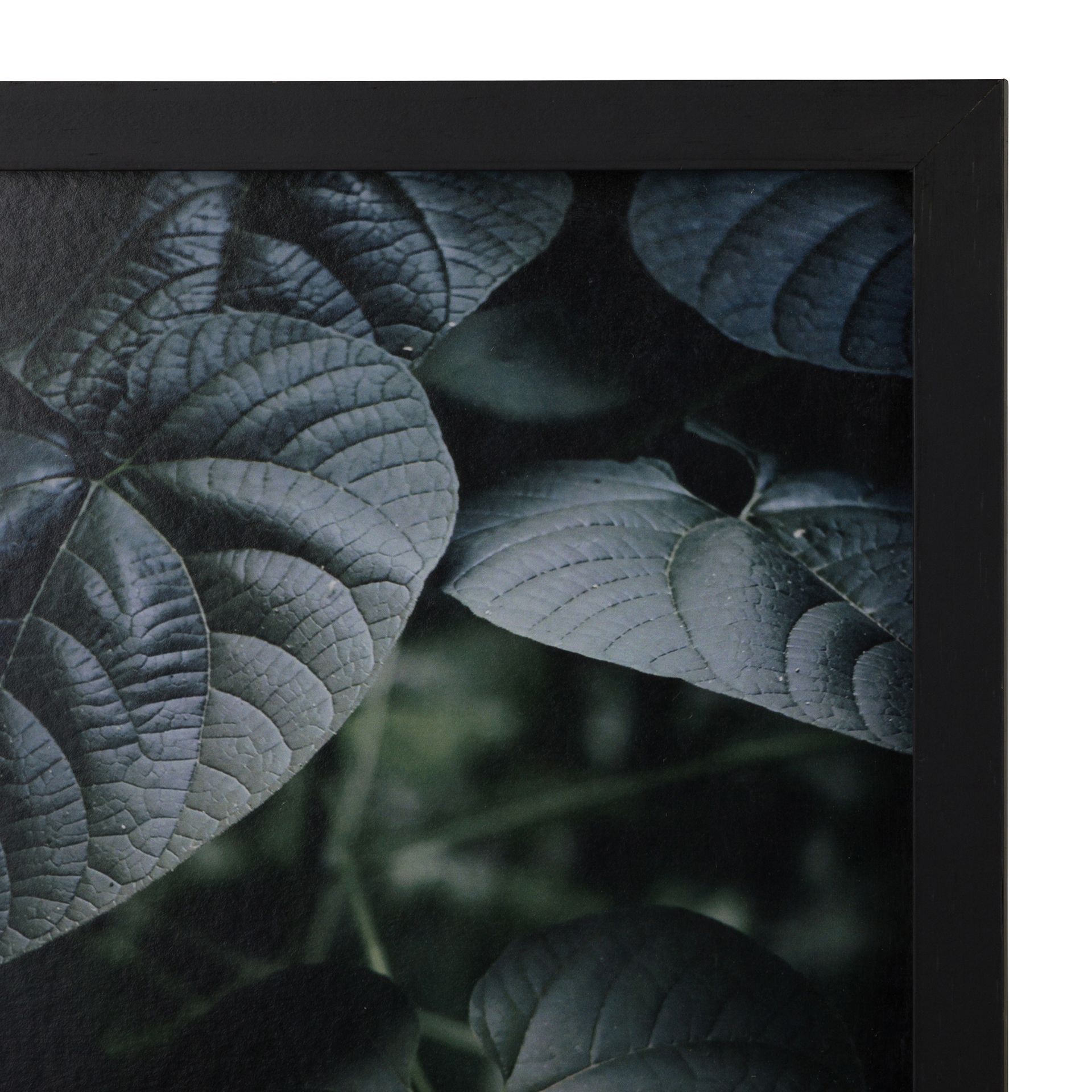 CORACAO-VERDE-20-CM-X-30-CM-PRETO-MULTICOR-CORA-O-VERDE_ST2