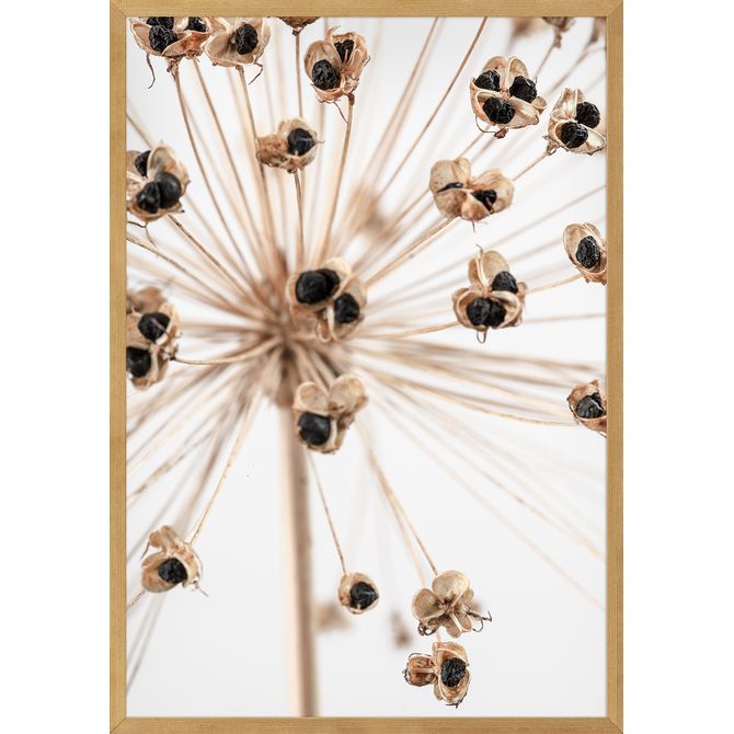 Quadro Joia Natural Iv 35 Cm X 50 Cm