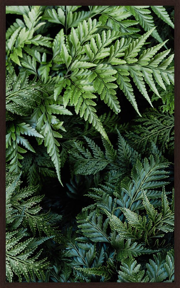 INTRINSECO-I-50-CM-X-80-CM-TIPO-IMBUIA-VERDE-INTR-NSECO_ST0