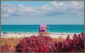 MIAMI-BEACH-II-80-CM-X-50-CM-ALUM-NIO-MULTICOR-MIAMI-BEACH_ST0