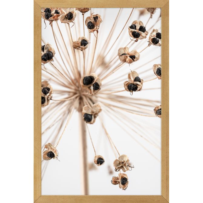 Quadro Joia Natural Iv 20 Cm X 30 Cm