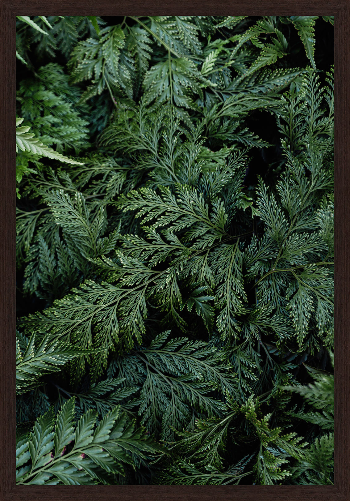 INTRINSECO-II-35-CM-X-50-CM-TIPO-IMBUIA-VERDE-INTR-NSECO_ST0