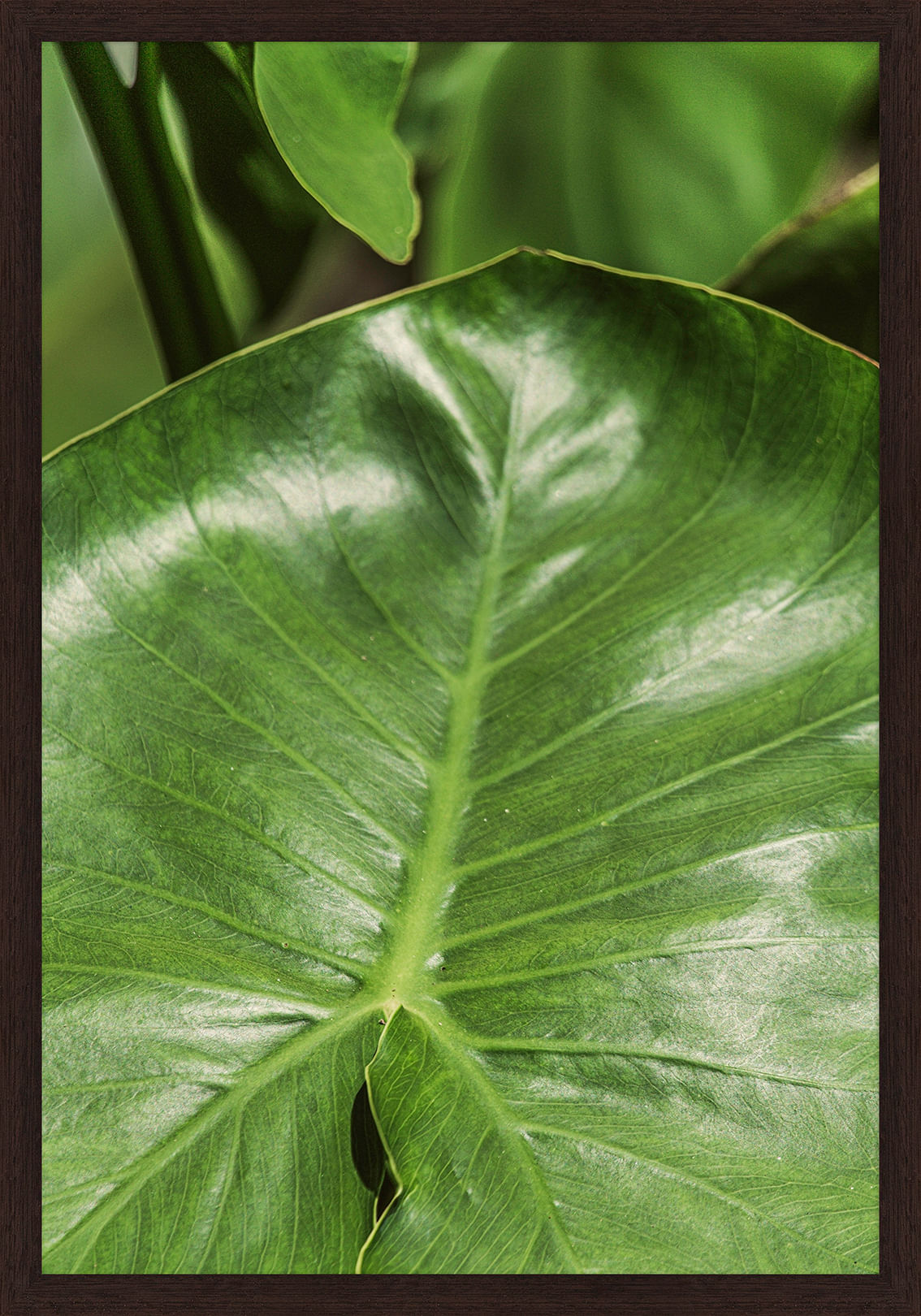 INTRINSECO-III-35-CM-X-50-CM-TIPO-IMBUIA-VERDE-INTR-NSECO_ST0