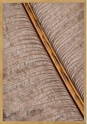 PAPIRO-I-35-CM-X-50-CM-MADEIRA-MULTICOR-PAPIRO_ST0