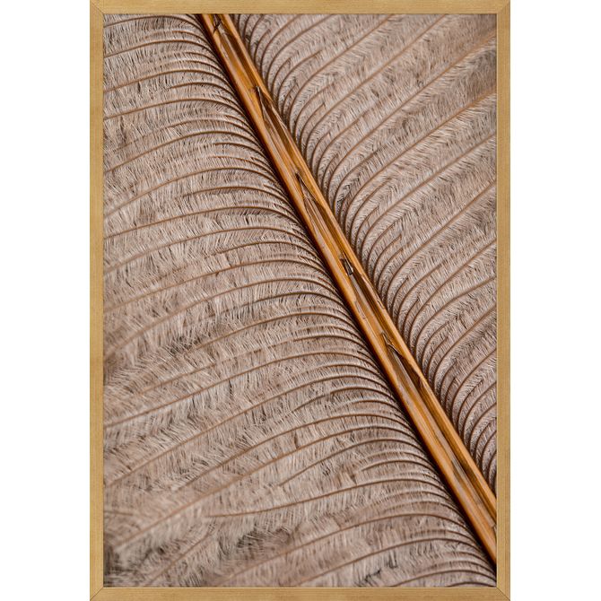 Quadro Papiro I 35 Cm X 50 Cm