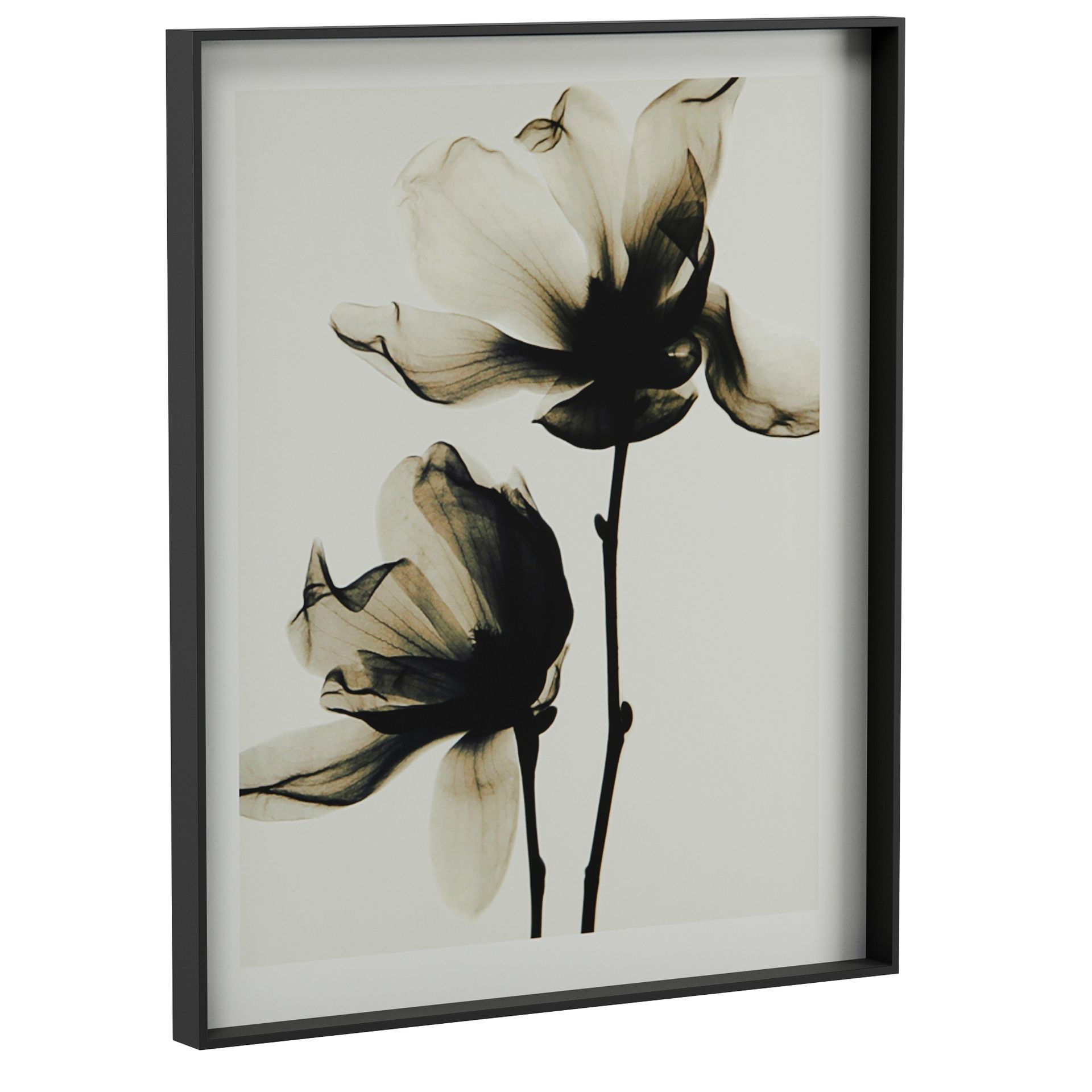 SPRING-II-84-CM-X-69-CM-BRANCO-PRETO-SPRING_ST0