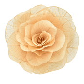 GUARDANAPO-CONJUNTO-COM-2-MOEDA-DO-CERRADO-NATURAL-MOEDA-DO-CERRADO_ST1