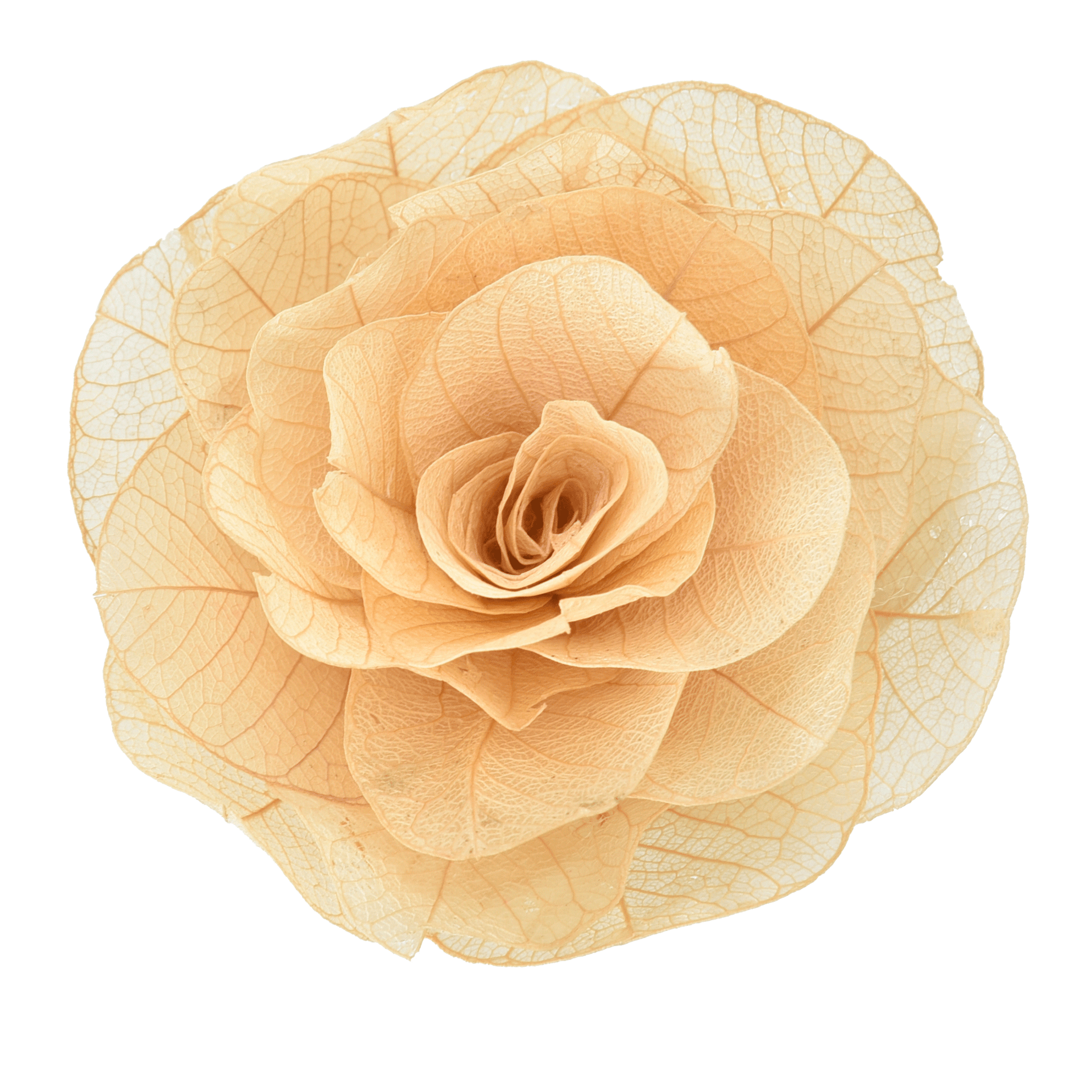 GUARDANAPO-CONJUNTO-COM-2-MOEDA-DO-CERRADO-NATURAL-MOEDA-DO-CERRADO_ST1