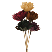 CABO-VERDE-MULTICOR-CABO-VERDE_ST0