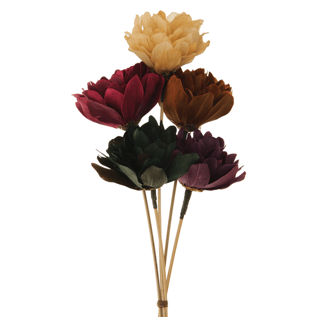 CABO-VERDE-MULTICOR-CABO-VERDE_ST0