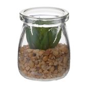 SEDUM-MINI-ARRANJO-ARID-INCOLOR-VERDE-ARID_ST0