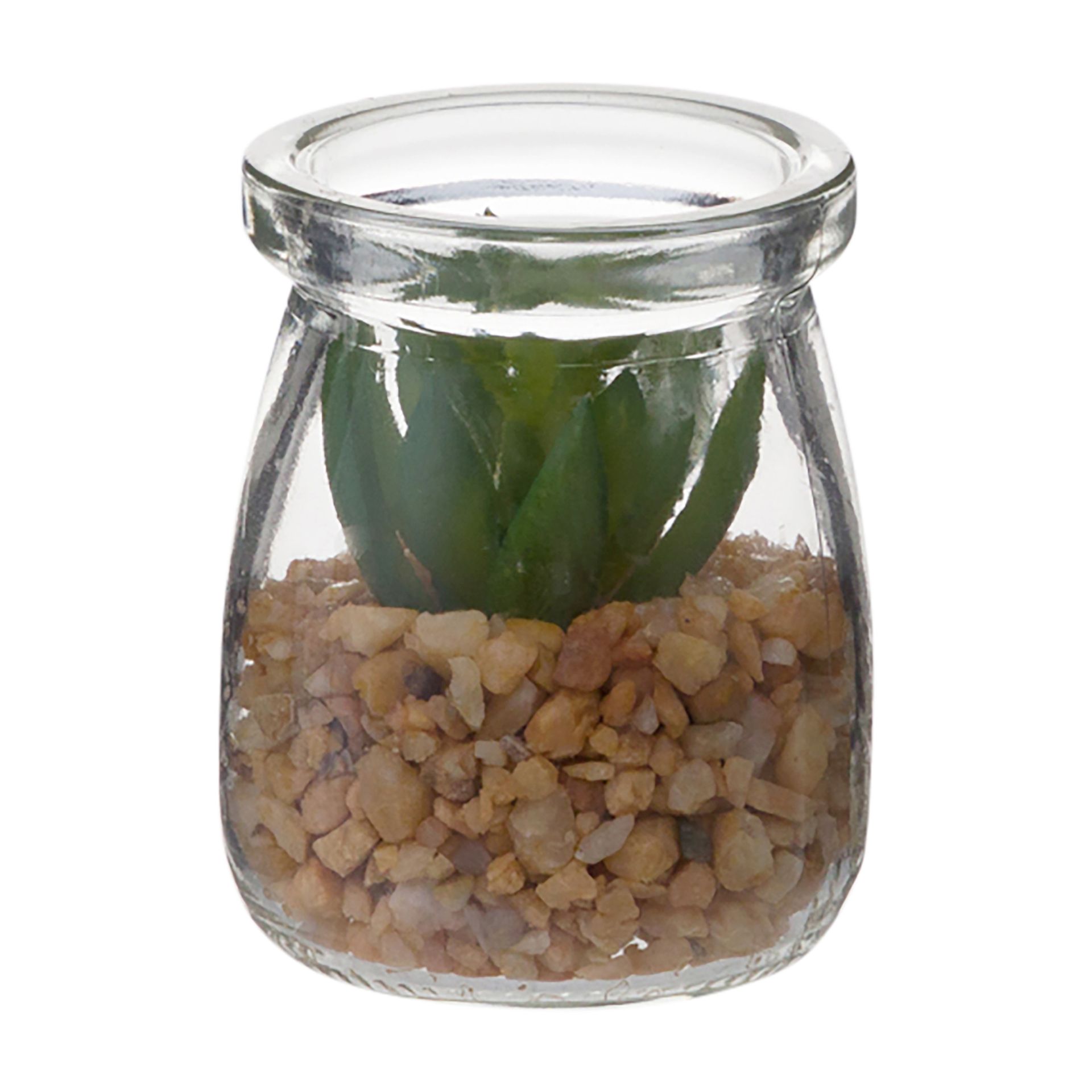SEDUM-MINI-ARRANJO-ARID-INCOLOR-VERDE-ARID_ST0