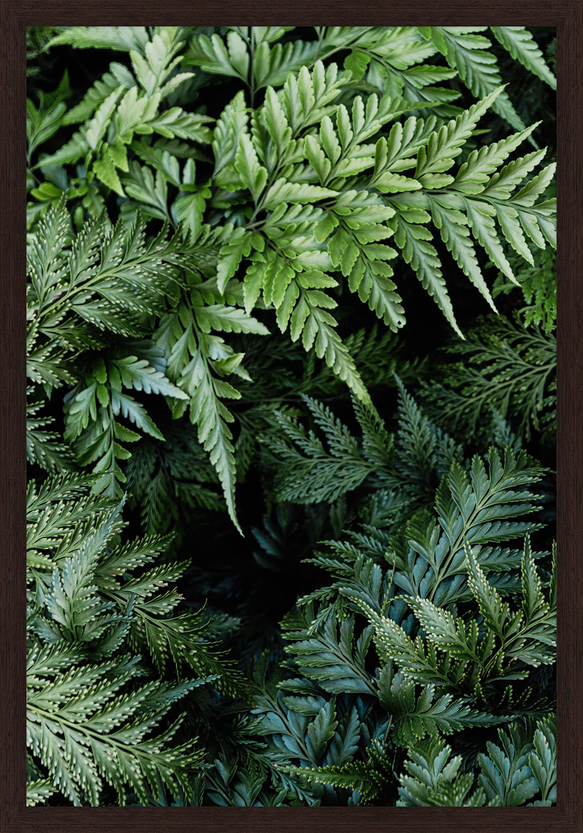 INTRINSECO-I-35-CM-X-50-CM-TIPO-IMBUIA-VERDE-INTR-NSECO_ST0