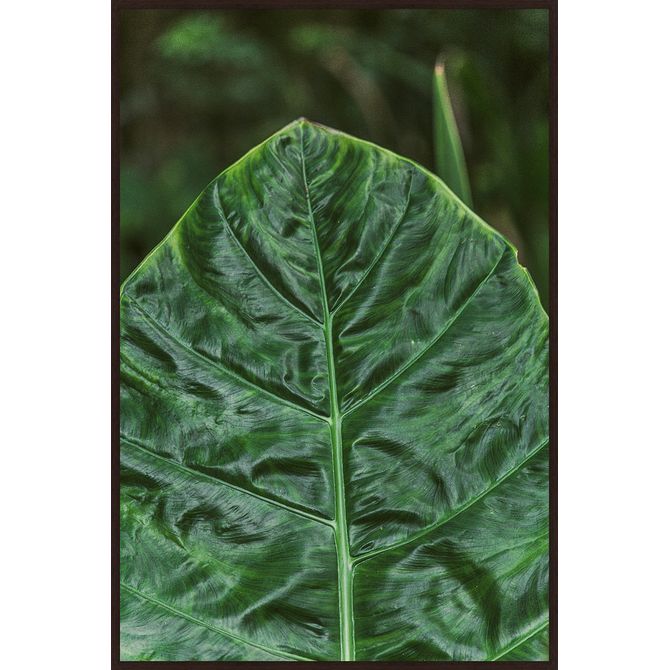 Quadro Intrínseco Iv 80 Cm X 1,20 M