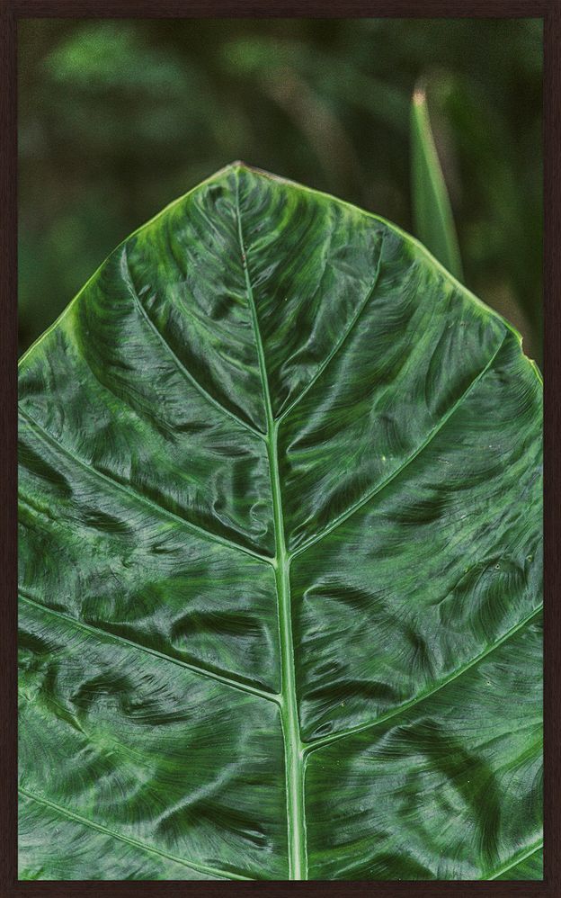 INTRINSECO-IV-50-CM-X-80-CM-TIPO-IMBUIA-VERDE-INTR-NSECO_ST0