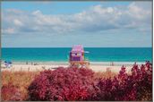 MIAMI-BEACH-II-120-M-X-80-CM-ALUM-NIO-MULTICOR-MIAMI-BEACH_ST0
