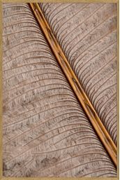 PAPIRO-I-80-CM-X-120-M-MADEIRA-MULTICOR-PAPIRO_ST0