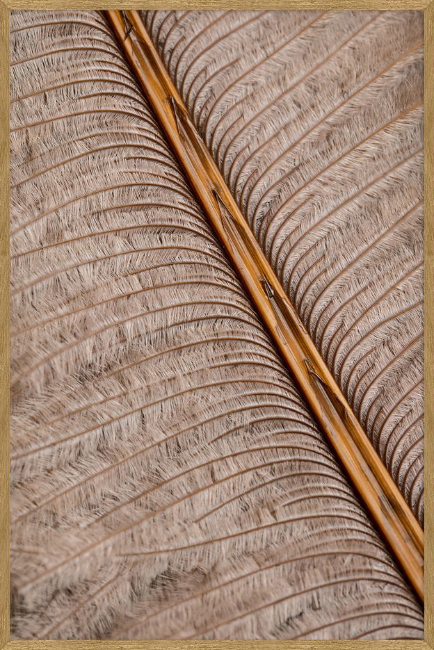 PAPIRO-I-80-CM-X-120-M-MADEIRA-MULTICOR-PAPIRO_ST0