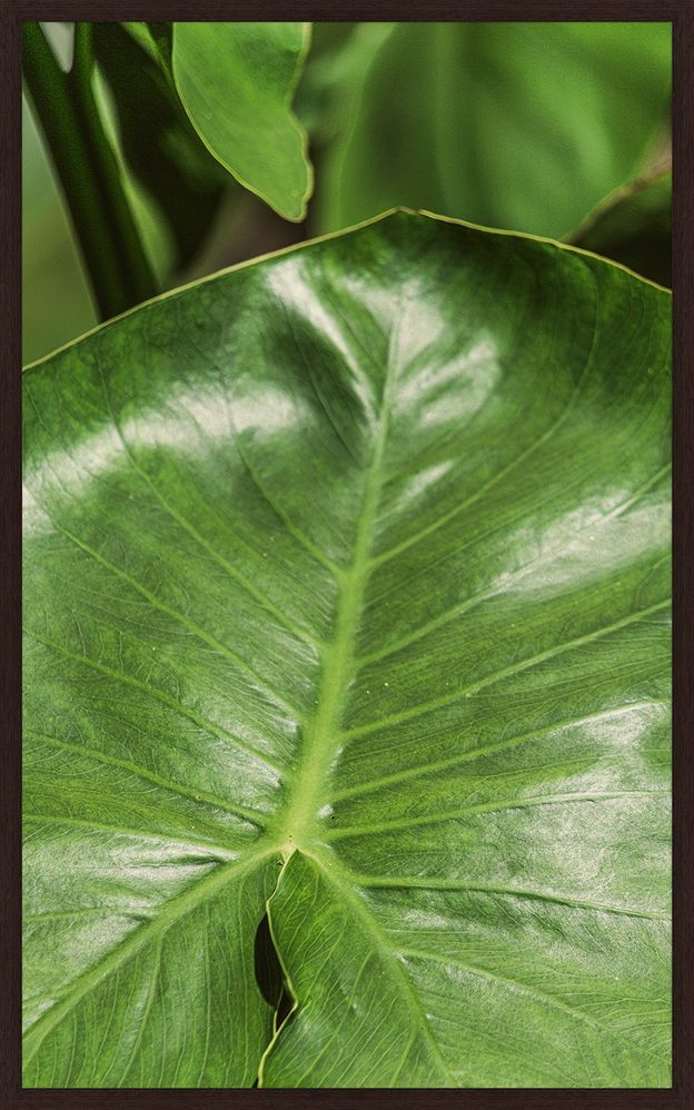 INTRINSECO-III-50-CM-X-80-CM-TIPO-IMBUIA-VERDE-INTR-NSECO_ST0