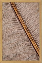 PAPIRO-I-20-CM-X-30-CM-MADEIRA-MULTICOR-PAPIRO_ST0