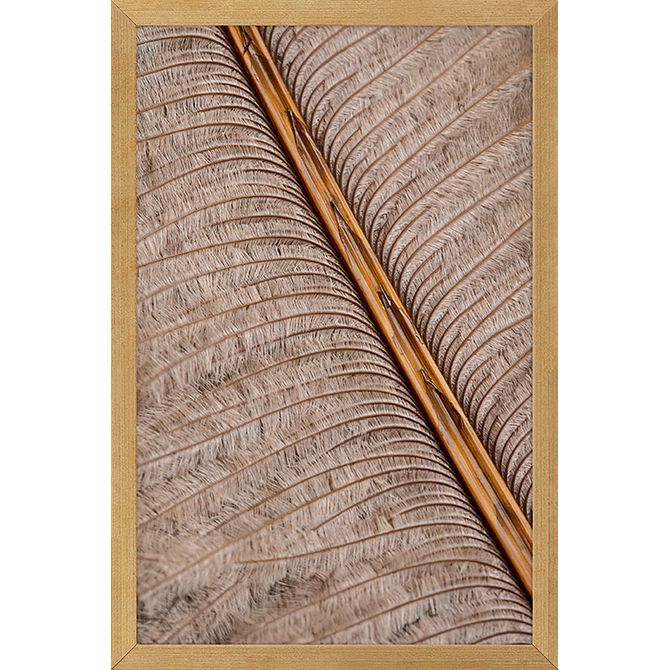 Quadro Papiro I 20 Cm X 30 Cm