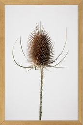 JOIA-NATURAL-III-20-CM-X-30-CM-MADEIRA-MULTICOR-JOIA-NATURAL_ST0