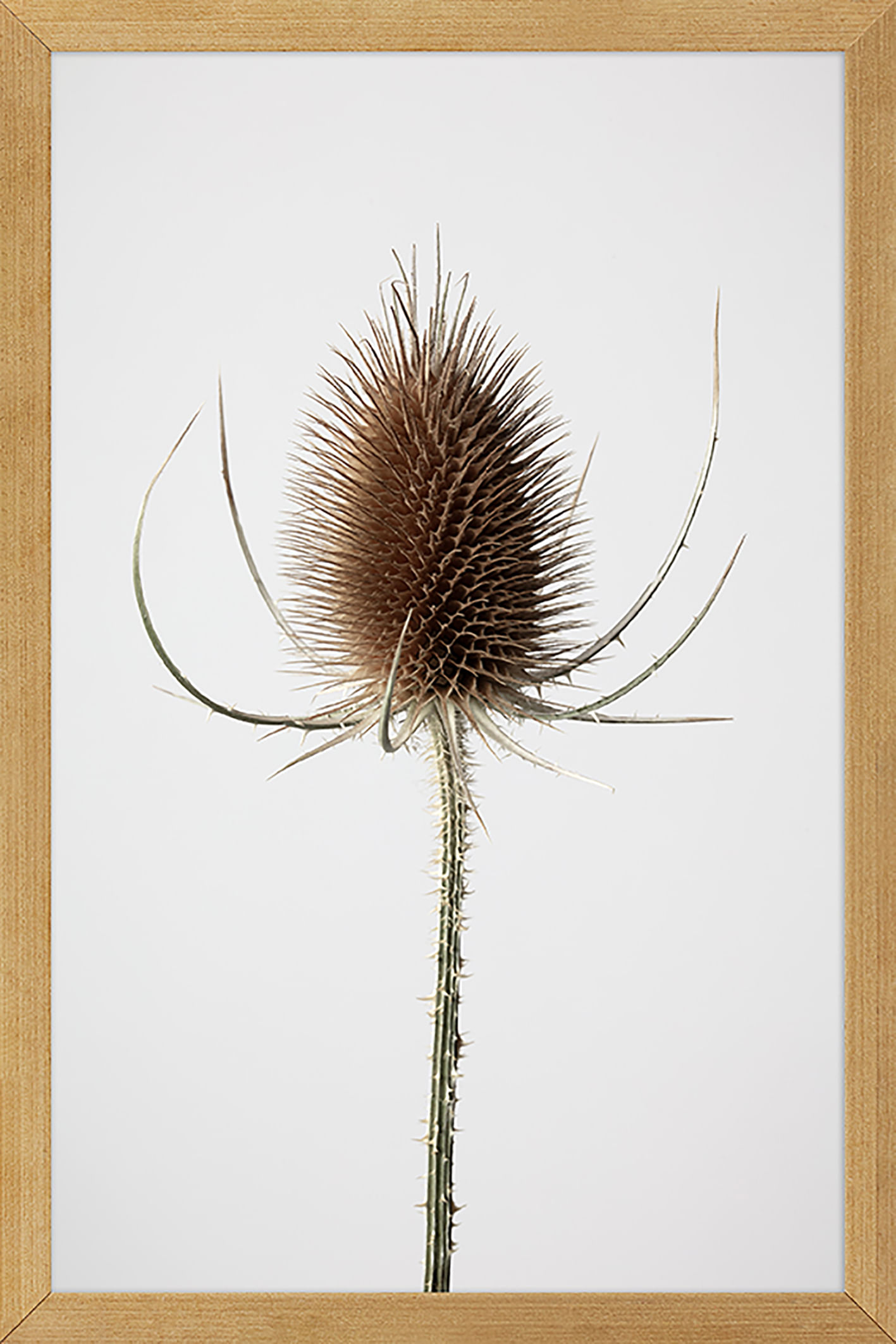 JOIA-NATURAL-III-20-CM-X-30-CM-MADEIRA-MULTICOR-JOIA-NATURAL_ST0