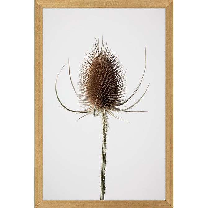 Quadro Joia Natural Iii 20 Cm X 30 Cm