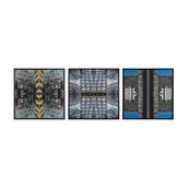 FLAVIO-REIS-SERIE-I-AM-NDOA-MULTICOR-_ST0