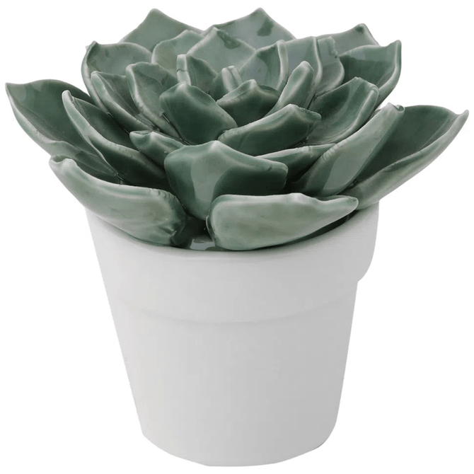 Adorno Mesa Suculenta 8 Cm Grazzia