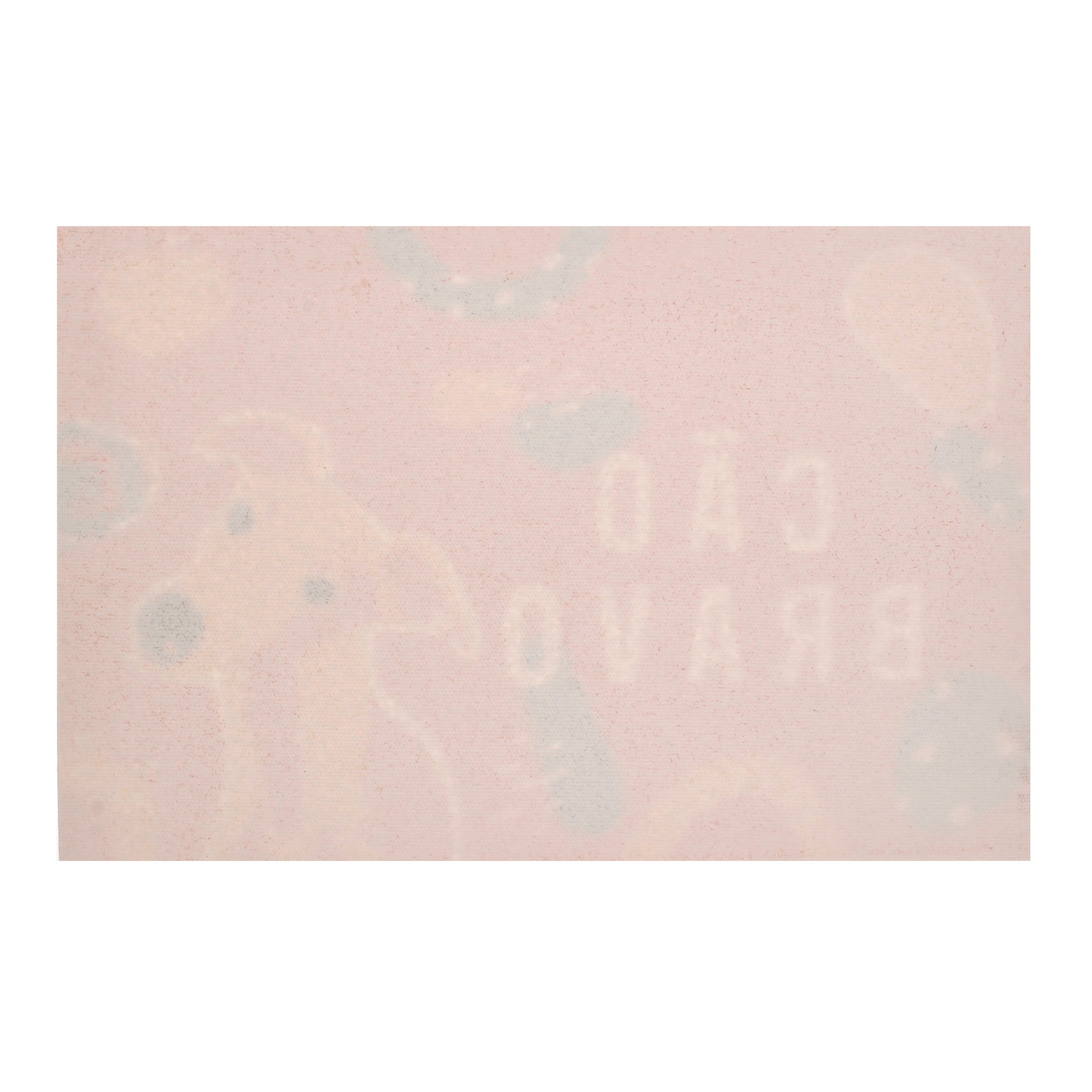 40-CM-X-60-CM-CAO-BRAVO-CORES-CALEIDOCOLOR-C-O-BRAVO_ST1