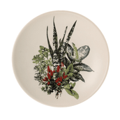 FUNDO-SETE-ERVAS-VERDE-MULTICOR-SETE-ERVAS_ST0