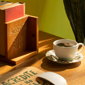 DE-LIVROS-SETE-ERVAS-AXE-NOZES-SETE-ERVAS_721B8AC0C0254717690D101F58A4DBDD_AMB0