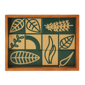 43-CM-X-22-CM-SETE-ERVAS-AXE-NOZES-MULTICOR-SETE-ERVAS_ST4