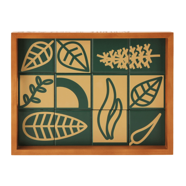 43-CM-X-22-CM-SETE-ERVAS-AXE-NOZES-MULTICOR-SETE-ERVAS_ST4