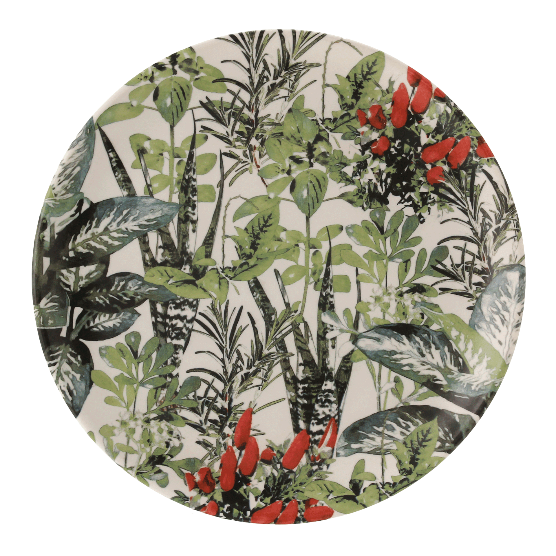 RASO-SETE-ERVAS-VERDE-MULTICOR-SETE-ERVAS_ST0