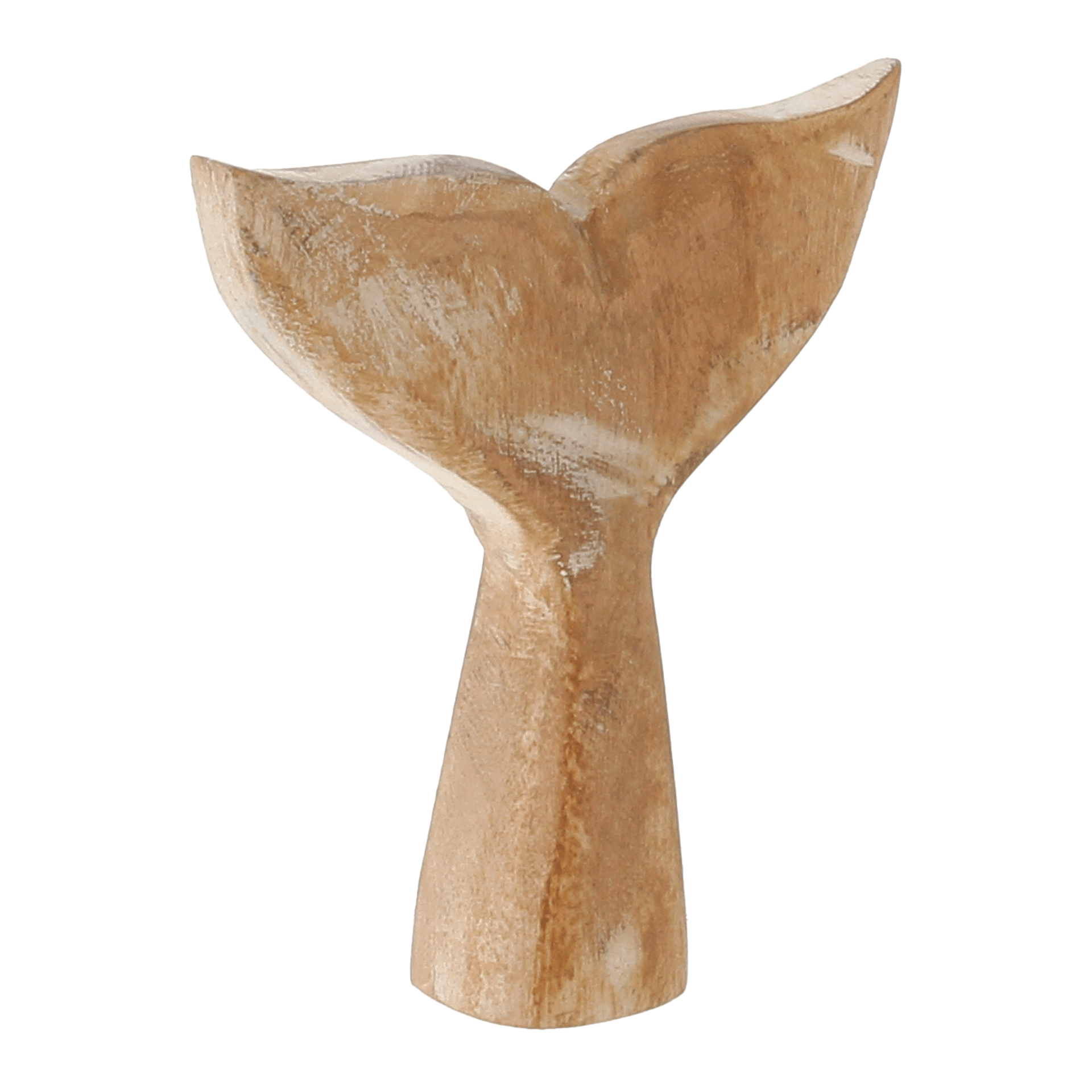 13-CM-MARAU-TAIPU-CAUDA-BRANCO-PAULOWNIA-MARA-TAIPU_ST3