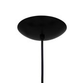 DE-TETO-3-PELICANO-PRETO-WHISKY-PELICANO_ST9