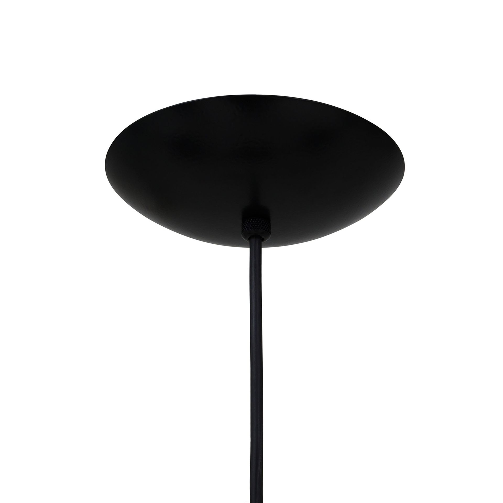 DE-TETO-3-PELICANO-PRETO-WHISKY-PELICANO_ST9