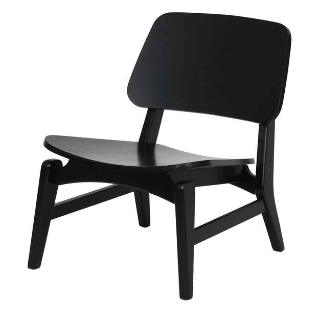 LEO-EBANIZADO-LEO_ST0