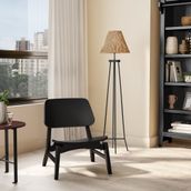 LEO-EBANIZADO-LEO_358162_AMB0