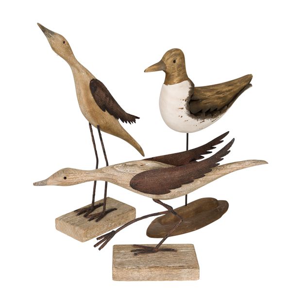 AVE-37-CM-BAIA-PAULOWNIA-MARROM-BA-A_ST5