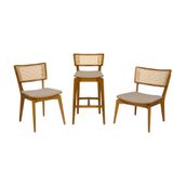 ALTO-COM-PALHINHA-ARES-TAUARI-NATURAL-ARES_ST9