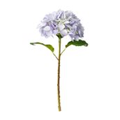 FLORENCE-HORTENSIA-LAVANDA-VERDE-FLORENCE_ST0