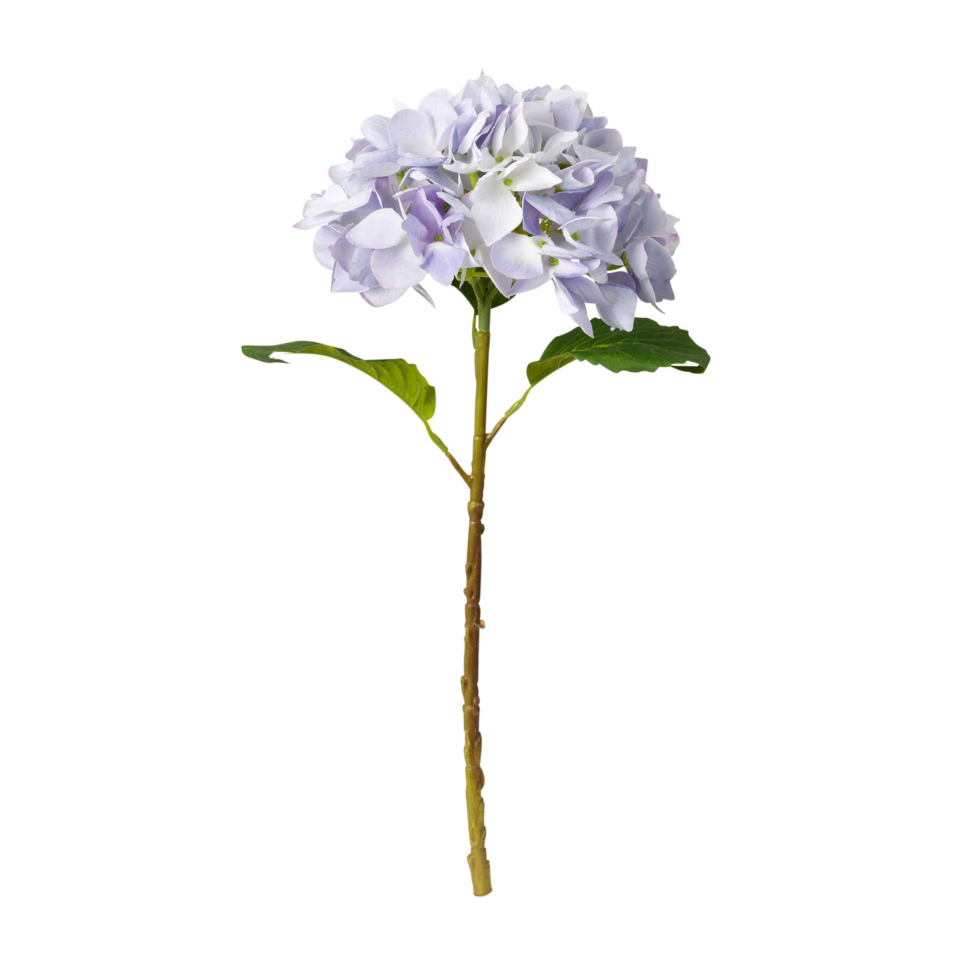 FLORENCE-HORTENSIA-LAVANDA-VERDE-FLORENCE_ST0