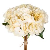 CLARA-CREAM-CLARA_ST1